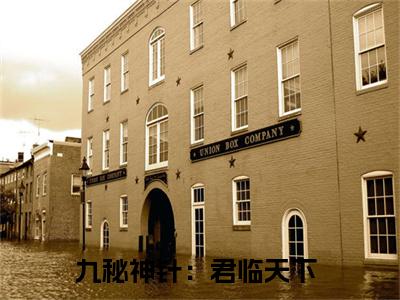 嬴焕小说全文（九秘神针：君临天下）全文免费阅读无弹窗大结局-（九秘神针：君临天下）无弹窗免费阅读大结局