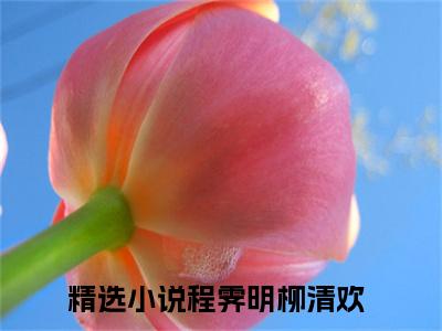 程霁明柳清欢（程霁明柳清欢）完整版小说阅读_程霁明柳清欢全文免费阅读最新章节列表_笔趣阁