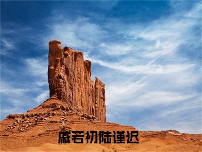 主角为戚若初陆谨迟的言情小说讲的是什么-正版小说全文阅读