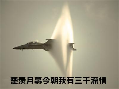 我有三千深情小说（楚羡月慕今朝）全文完整版免费阅读-楚羡月慕今朝全文完整版免费阅读（楚羡月慕今朝）