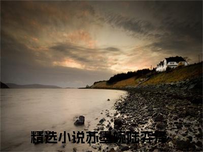 苏墨婉陆弈泽小说最新章节在线阅读_苏墨婉陆弈泽在线阅读