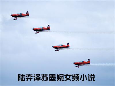 陆弈泽苏墨婉小说已完结（陆弈泽苏墨婉）全文免费阅读无弹窗大结局_陆弈泽苏墨婉最新章节列表（陆弈泽苏墨婉）