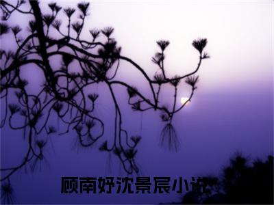 完整版小说（顾南妤沈景宸）最新在线阅读-顾南妤沈景宸小说（顾南妤沈景宸）免费阅读全文