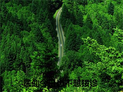 医仙今日也不想接诊全文免费阅读（柳寻芹越长歌）全文无删减版在线阅读_医仙今日也不想接诊全文免费阅读最新章节列表_笔趣阁