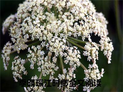 季明琛江时缈在线阅读全文 (季明琛江时缈免费大结局)小说无弹窗广告