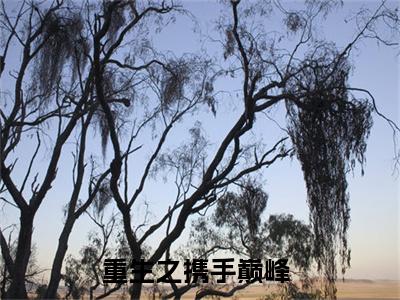 重生之携手巅峰小说大结局完整版阅读，沈沐风小说全文在线阅读
