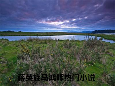 蒋英旋马鸿晖最新章节在线阅读-小说全文阅读