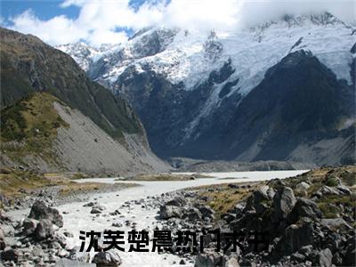 主人公叫沈芙楚晨的小说沈芙楚晨哪里免费看