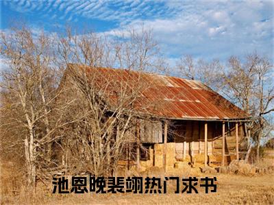 池恩晚裴翊（池恩晚裴翊）最新章节免费阅读全文-池恩晚裴翊完结小说在线阅读