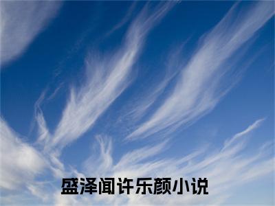 盛泽闻许乐颜精彩章节在线阅读,盛泽闻许乐颜小说全文最新章节列表