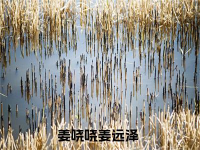 姜哓哓姜远泽精选小说大结局阅读-最新小说(姜哓哓姜远泽)全文阅读