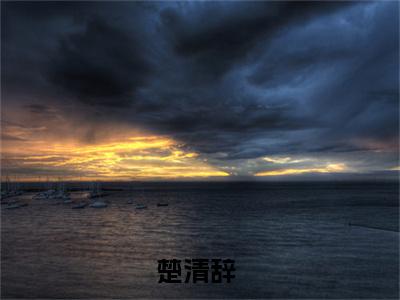 楚清辞（快穿：宿主拿着女配剧本杀疯了）全文免费阅读_楚清辞（快穿：宿主拿着女配剧本杀疯了）最新章节小说免费阅读（楚清辞）