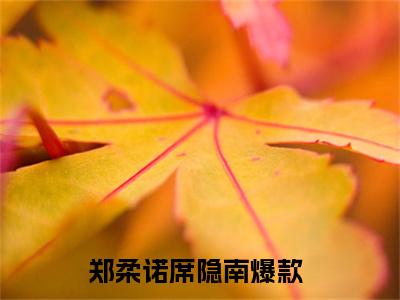 郑柔诺席隐南小说大结局免费阅读-（郑柔诺席隐南）抖音新上热文分享郑柔诺席隐南
