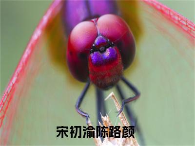 宋初渝陈路颜免费小说 宋初渝陈路颜全文无弹窗完整版阅读