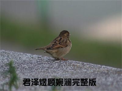君泽煜顾婉澜（君泽煜顾婉澜小说）全文免费阅读无弹窗大结局_君泽煜顾婉澜小说最新章节列表_（君泽煜顾婉澜）