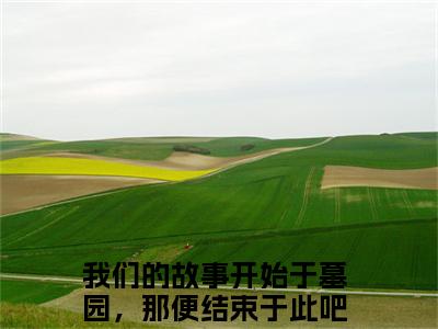 我们的故事开始于墓园，那便结束于此吧全文（周承斯徐悦微小说）全文免费阅读无弹窗大结局_周承斯徐悦微免费最新章节列表_笔趣阁（我们的故事开始于墓园，那便结束于此吧小说）