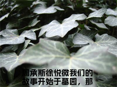周承斯徐悦微（我们的故事开始于墓园，那便结束于此吧）全文免费阅读_周承斯徐悦微（我们的故事开始于墓园，那便结束于此吧）最新章节列表笔趣阁