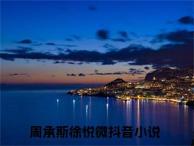 我们的故事开始于墓园，那便结束于此吧小说（周承斯徐悦微）全文免费阅读无弹窗大结局_我们的故事开始于墓园，那便结束于此吧小说免费阅读_笔趣阁（周承斯徐悦微小说）