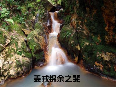 姜戎锦余之斐全文免费阅读无弹窗大结局_(姜戎锦余之斐阅读全文大结局)姜戎锦余之斐最新章节列表（姜戎锦余之斐）