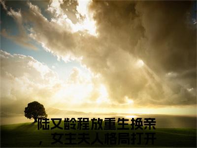 重生换亲，女主夫人格局打开了是什么小说-陆又龄程放免费小说在线阅读