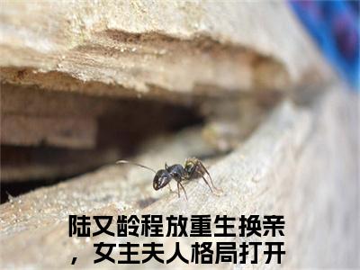 重生换亲，女主夫人格局打开了在线阅读无弹窗_陆又龄程放最新章节列表_笔趣阁