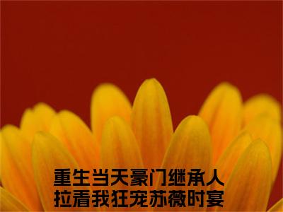 苏薇时宴(重生当天豪门继承人拉着我狂宠)小说免费下载全本-苏薇时宴（重生当天豪门继承人拉着我狂宠完整版）免费阅读无弹窗（苏薇时宴）