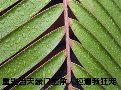 小说苏薇时宴全文阅读-重生当天豪门继承人拉着我狂宠小说苏薇时宴大结局