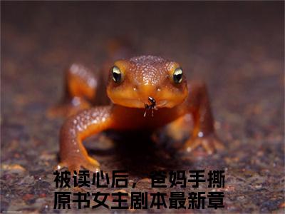 被读心后，爸妈手撕原书女主剧本（姜妧妧）完整版小说阅读-被读心后，爸妈手撕原书女主剧本小说（姜妧妧）精彩免费试读