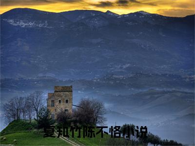 夏知竹陈不恪的小说（夏知竹陈不恪）免费阅读_夏知竹陈不恪小说免费阅读-笔趣阁