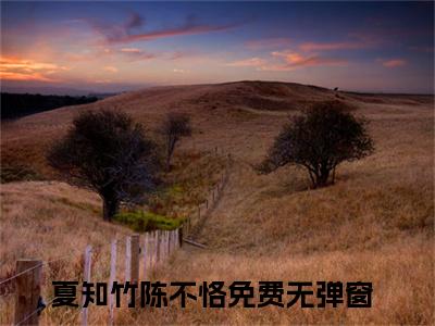 夏知竹陈不恪（夏知竹陈不恪）全文免费阅读夏知竹陈不恪最新章节小说免费阅读_笔趣阁