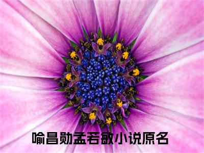 喻昌勋孟若敏（喻昌勋孟若敏无弹窗）全文免费阅读无弹窗大结局_喻昌勋孟若敏最新章节列表_笔趣阁（喻昌勋孟若敏无弹窗）