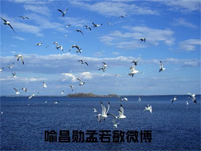 喻昌勋孟若敏小说全文免费阅读_喻昌勋孟若敏（喻昌勋孟若敏）最新章节列表笔趣阁