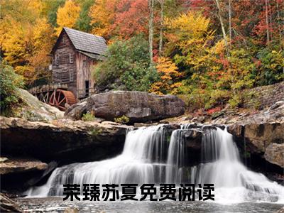 荣臻苏夏（荣臻苏夏）全文免费阅读无弹窗大结局_荣臻苏夏最新章节列表_