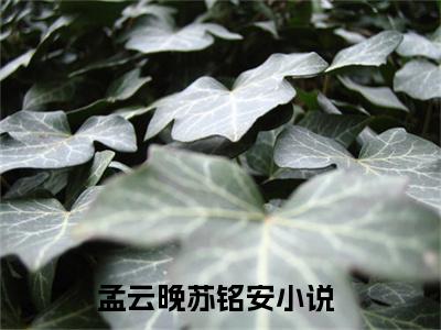 孟云晚苏铭安小说小说全文免费阅读（孟云晚苏铭安）全文免费孟云晚苏铭安读无弹窗大结局
