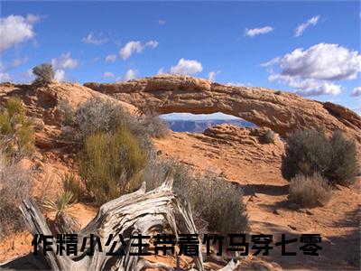 作精小公主带着竹马穿七零全文免费阅读大结局_作精小公主带着竹马穿七零（宋若姝顾君屹）最新章节列表