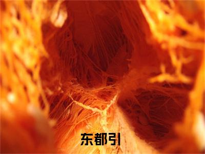 东都引郁离老书虫推荐小说免费阅读_（东都引）完整版全文在线赏析