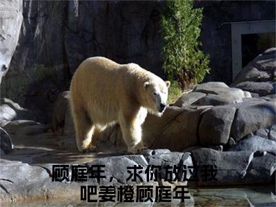 顾庭年，求你放过我吧小说免费阅读无弹窗大结局,姜橙顾庭年最新章节列表