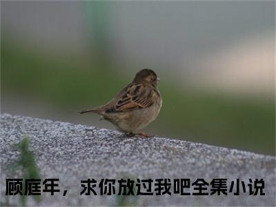 姜橙顾庭年全文推荐阅读，顾庭年，求你放过我吧热门榜单免费新书阅读