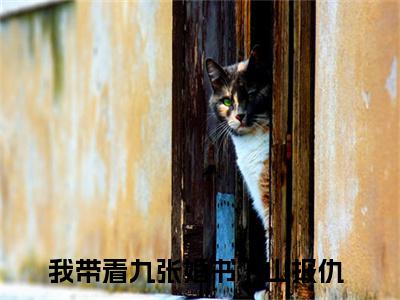 我带着九张婚书下山报仇小说全文免费阅读无弹窗大结局_（乔木免费阅读无弹窗）最新章节列表_笔趣阁