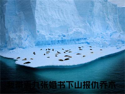 乔木全文免费阅读无弹窗大结局-我带着九张婚书下山报仇小说在哪里可以看