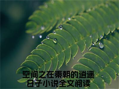 苏叶老书虫书荒推荐热点小说-苏叶空间之在秦朝的逍遥日子全文免费阅读