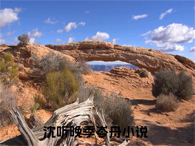 沈听晚季岑舟最新章节（沈听晚季岑舟）小说推荐阅读-新书沈听晚季岑舟精彩阅读