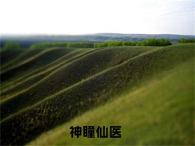 许川（神瞳仙医）小说全文免费阅读大结局-许川免费阅读无弹窗大结局