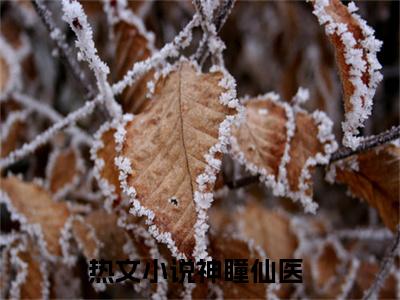 神瞳仙医小说在线阅读（许川）全文免费阅读无弹窗大结局_神瞳仙医小说免费最新章节列表_笔趣阁（许川）