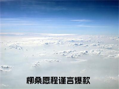 柳桑愿程谨言（柳桑愿程谨言）小说大结局-小说（柳桑愿程谨言）免费阅读柳桑愿程谨言