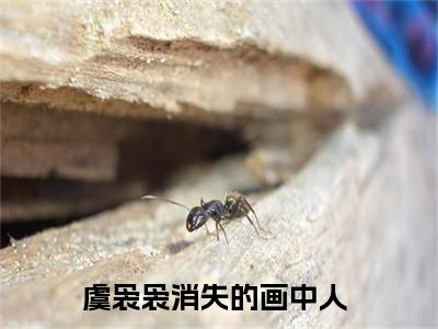 虞袅袅消失的画中人小说-虞袅袅小说免费阅读