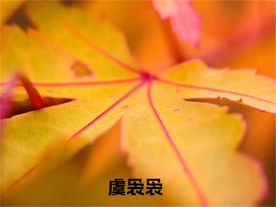 消失的画中人（虞袅袅）精选好书-虞袅袅无删减小说在线阅读（消失的画中人全文免费阅读）
