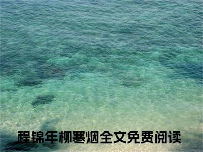 程锦年柳寒烟精彩小说程锦年柳寒烟大结局全本免费阅读