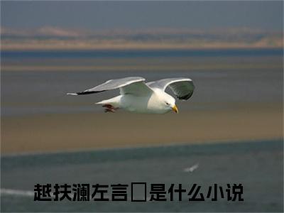 越扶澜左言彧小说（越扶澜左言彧)全文免费阅读无弹窗大结局_越扶澜左言彧完整版最新阅读_笔趣阁（越扶澜左言彧）