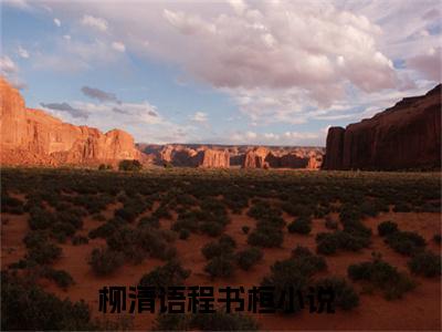 柳清语程书桓（柳清语程书桓)全文免费阅读无弹窗大结局_柳清语程书桓全文免费阅读_笔趣阁（柳清语程书桓）